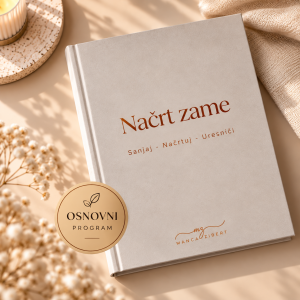 Načrt zame - osnovni program