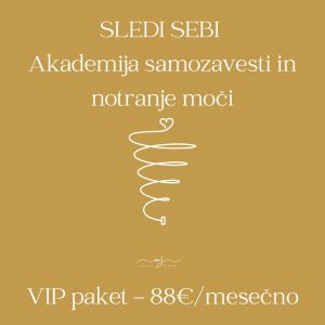 Akademija Sledi sebi - VIP paket - obročno plačilo